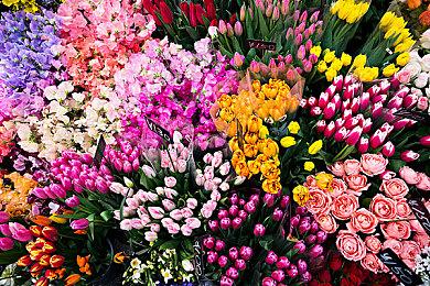 《生化危机4：重制版》半价新史低 仅售99元