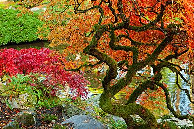 求生恐怖游戏《乌鸦国度》面向PS5＆PS4＆PC公布