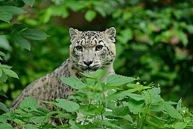 T2暗示《GTA6》不会再跳票 此前跳票是为了实现完美愿景