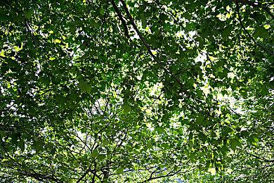 网传《GTA6》已经开发完成 R星正在打磨并修复Bug